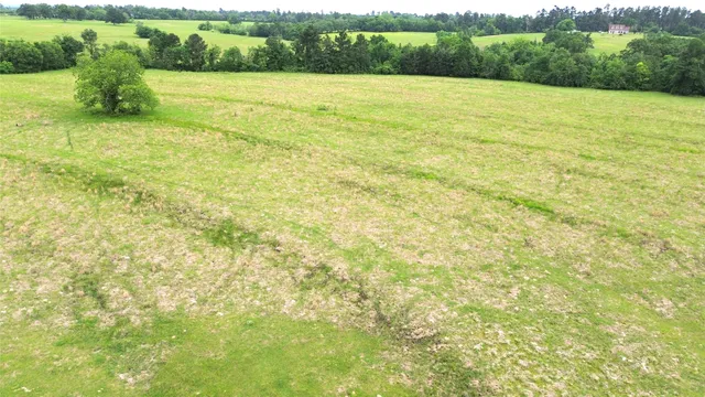 $1,050,000 | 5189 County Road 4550, Pennington, TX 75856