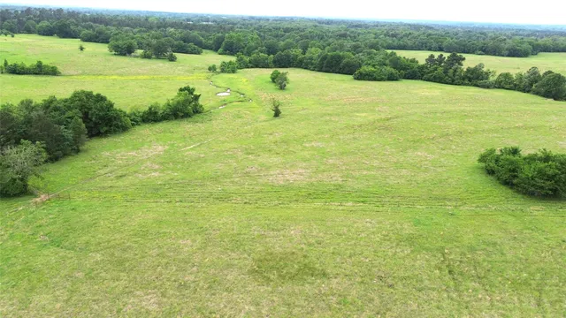 $1,050,000 | 5189 County Road 4550, Pennington, TX 75856