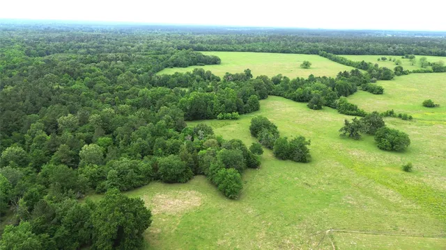 $1,050,000 | 5189 County Road 4550, Pennington, TX 75856
