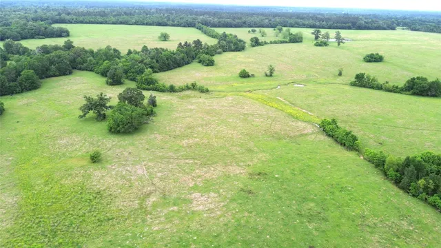 $1,050,000 | 5189 County Road 4550, Pennington, TX 75856