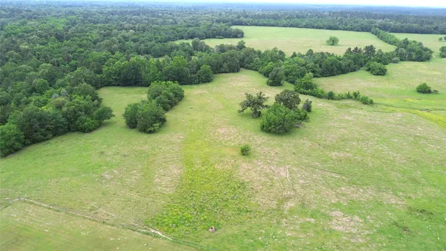 $1,050,000 | 5189 County Road 4550, Pennington, TX 75856