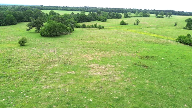 $1,050,000 | 5189 County Road 4550, Pennington, TX 75856