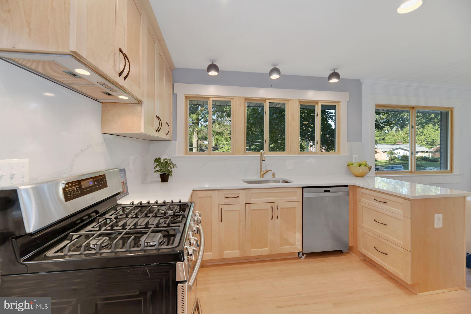 7432 Long Pine Drive Springfield, VA 22151 - Photo 20 of 38
