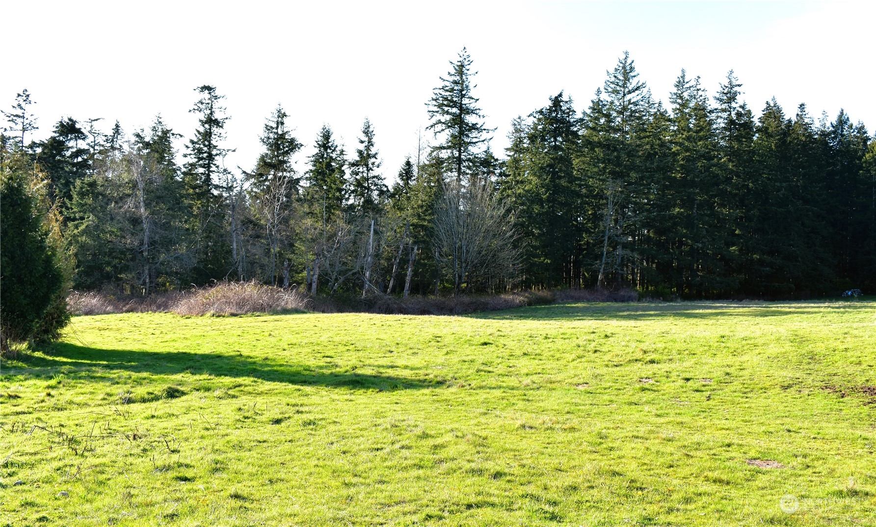 3370 Sweet Road Blaine, WA 98230 - Photo 15 of 20 a view of a pool with a yard