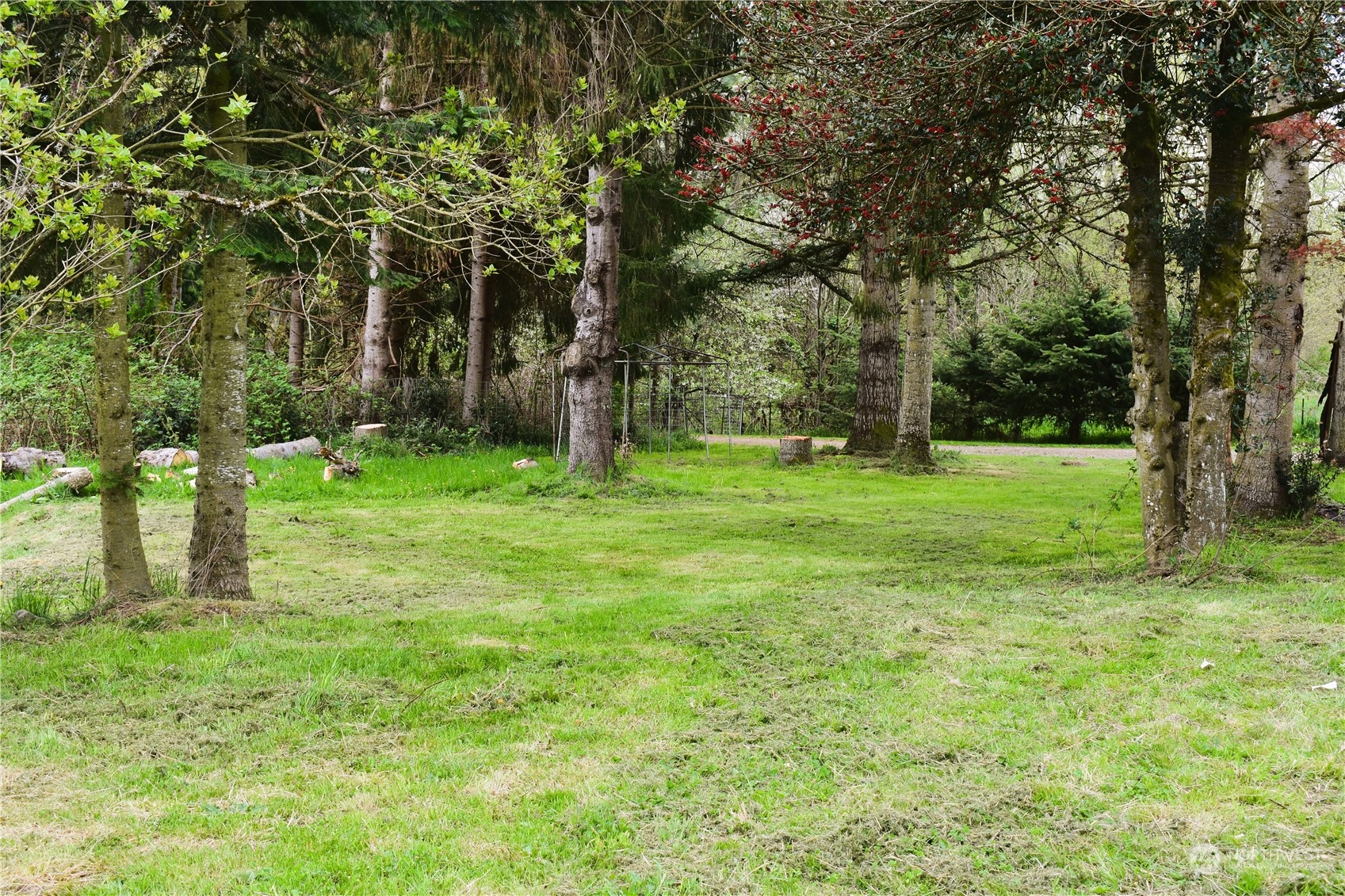 3370 Sweet Road Blaine, WA 98230 - Photo 3 of 20 a backyard of a house with lots of green space