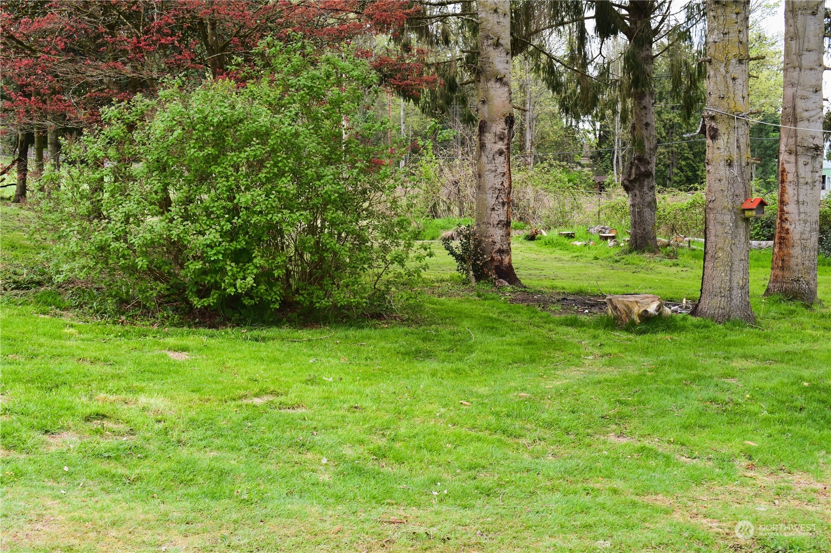 3370 Sweet Road Blaine, WA 98230 - Photo 4 of 20 a view of a grassy field with trees
