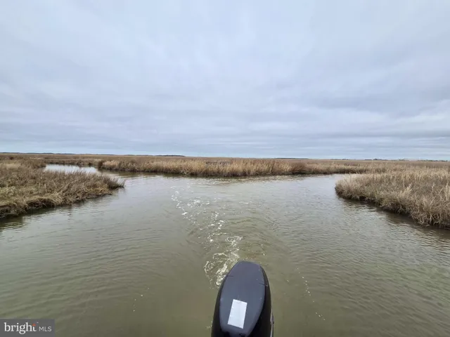 a view of a lake with houses in the back