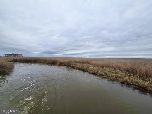 $189,000 | Waterfowl & Sika / Ducks Waterfowl & Sika / Ducks Wesley Road, Unit DEEP BRANCH, Crapo, MD 21626