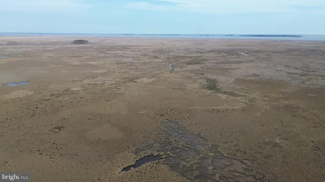 $189,000 | Waterfowl & Sika / Ducks Waterfowl & Sika / Ducks Wesley Road, Unit DEEP BRANCH, Crapo, MD 21626