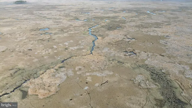 $189,000 | Waterfowl & Sika / Ducks Waterfowl & Sika / Ducks Wesley Road, Unit DEEP BRANCH, Crapo, MD 21626