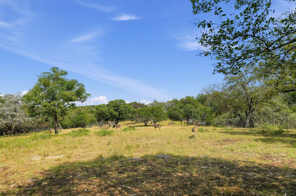 201 Sierra Road Kerrville, TX 78028 - Photo 50 of 69 Gallery Image 50