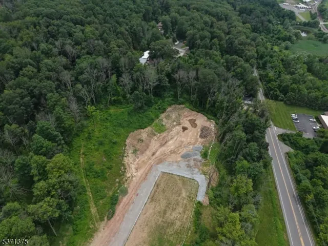 an aerial view of a house with a yard and tree s