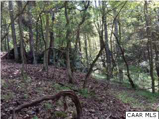 0 Gillums Ridge Road Charlottesville, VA 22903 - Photo 15 of 18 a view of forest