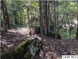 0 Gillums Ridge Road Charlottesville, VA 22903 - Photo 16 of 18 a view of a forest filled with trees