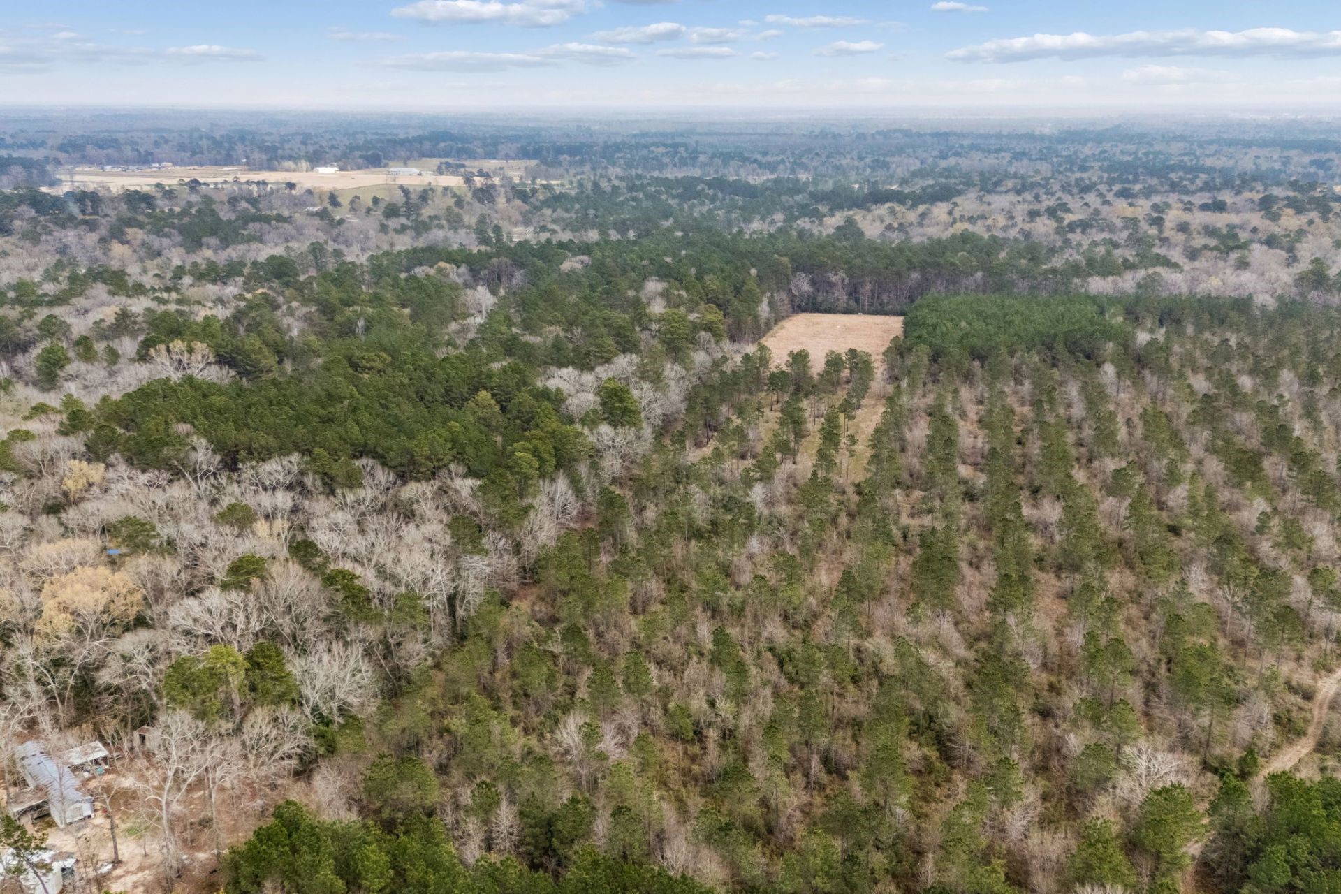 0 County Road Splendora, TX 77372 - Photo 4 of 10