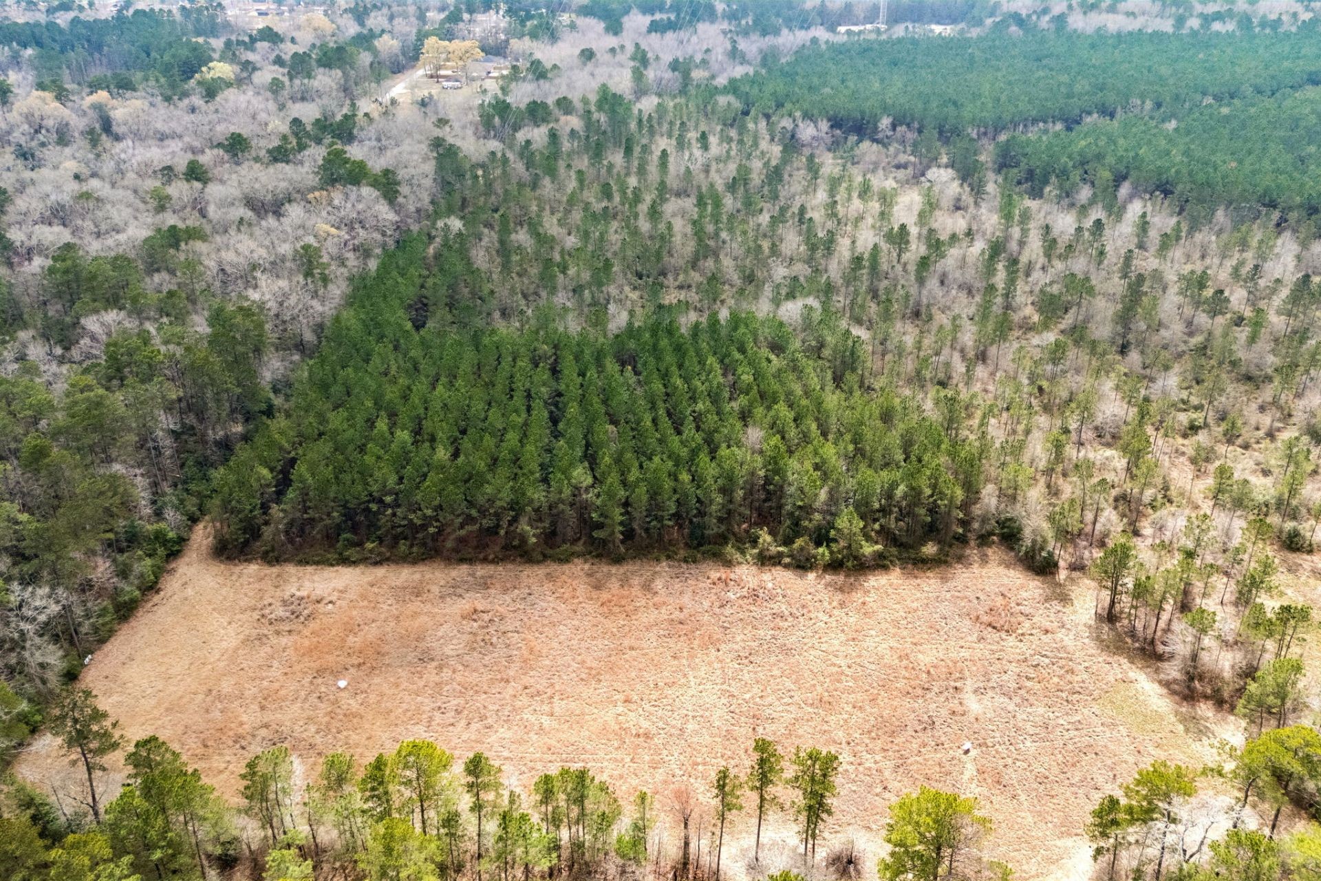 0 County Road Splendora, TX 77372 - Photo 5 of 10