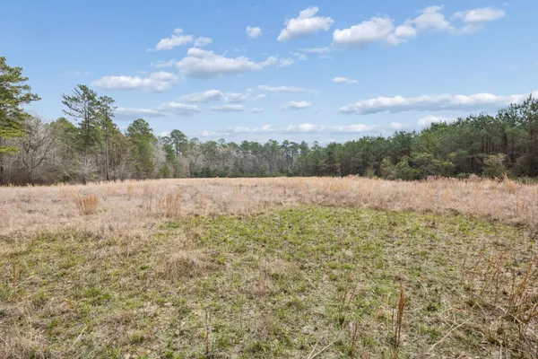 $100,000 | 0 County Road, Splendora, TX 77372