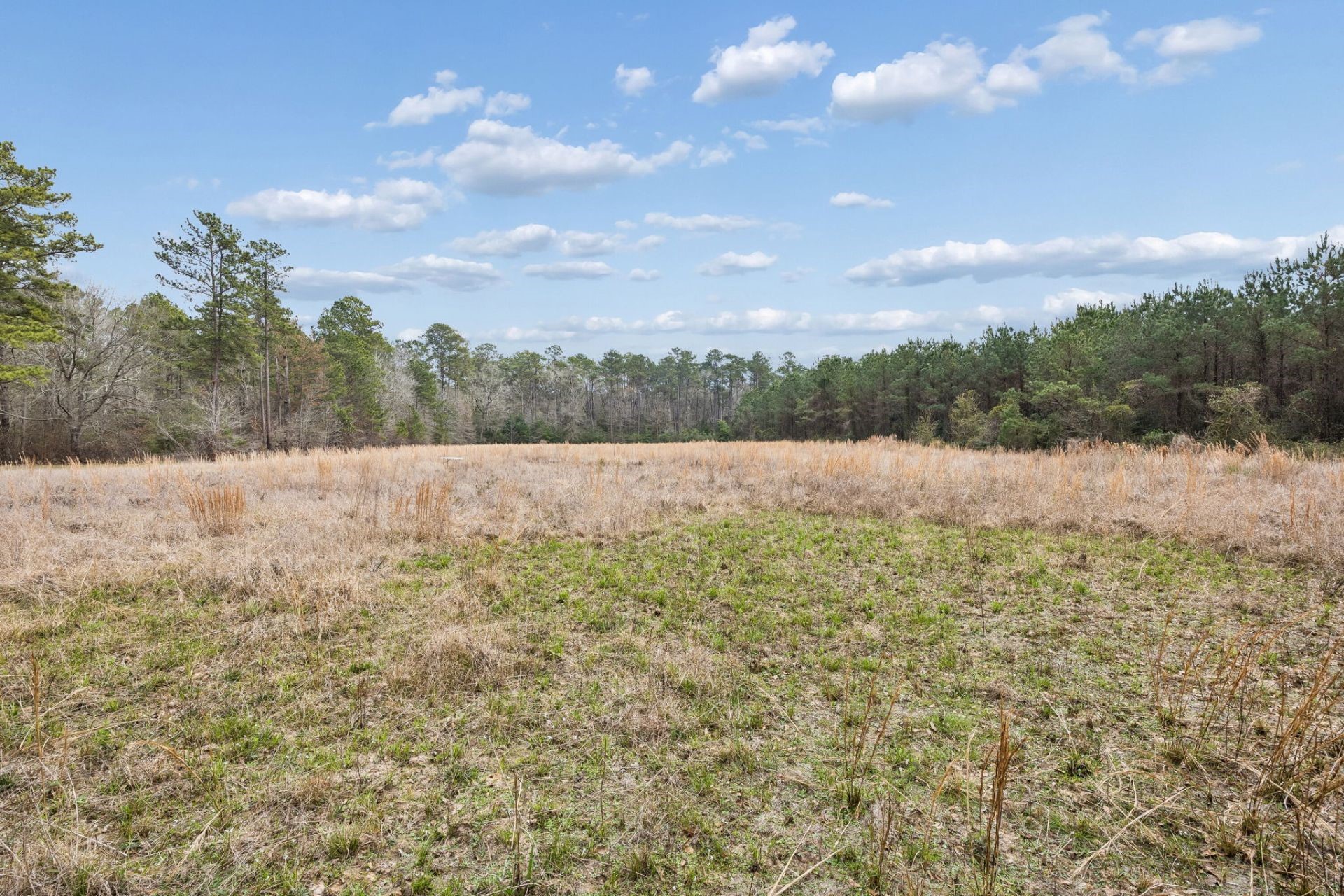 0 County Road Splendora, TX 77372 - Photo 6 of 10
