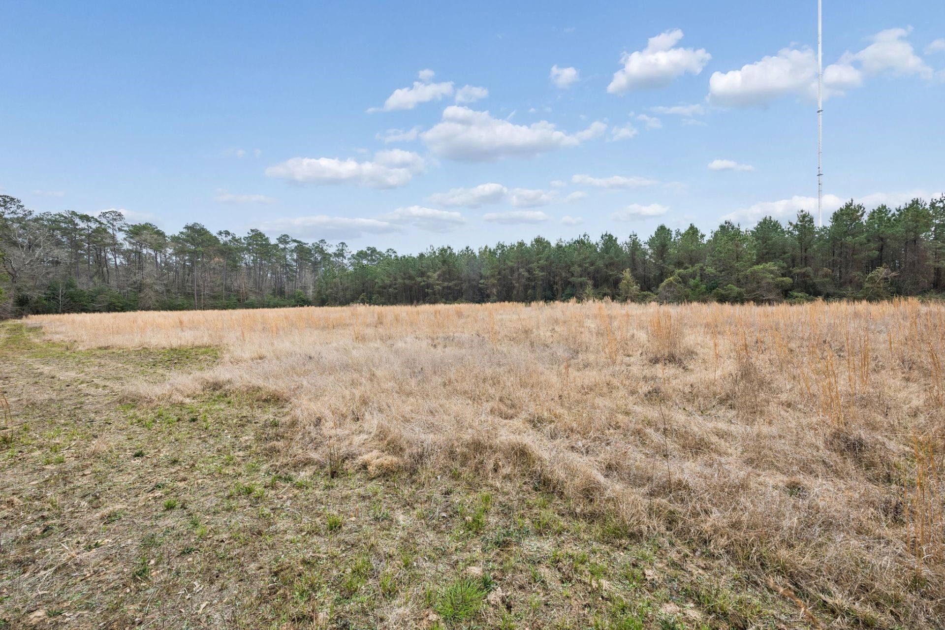 0 County Road Splendora, TX 77372 - Photo 7 of 10