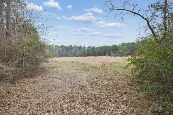 $100,000 | 0 County Road, Splendora, TX 77372