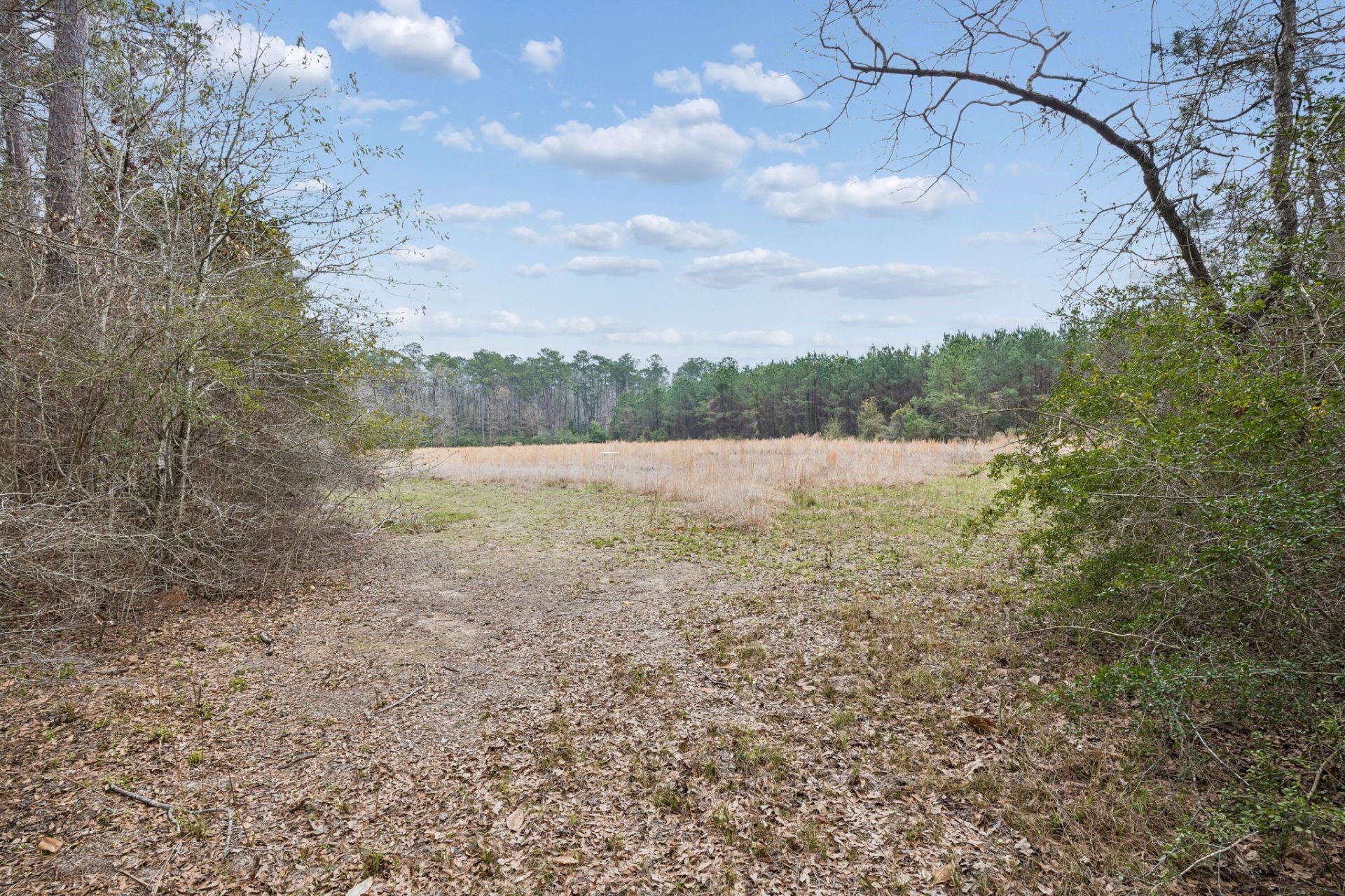 0 County Road Splendora, TX 77372 - Photo 9 of 10
