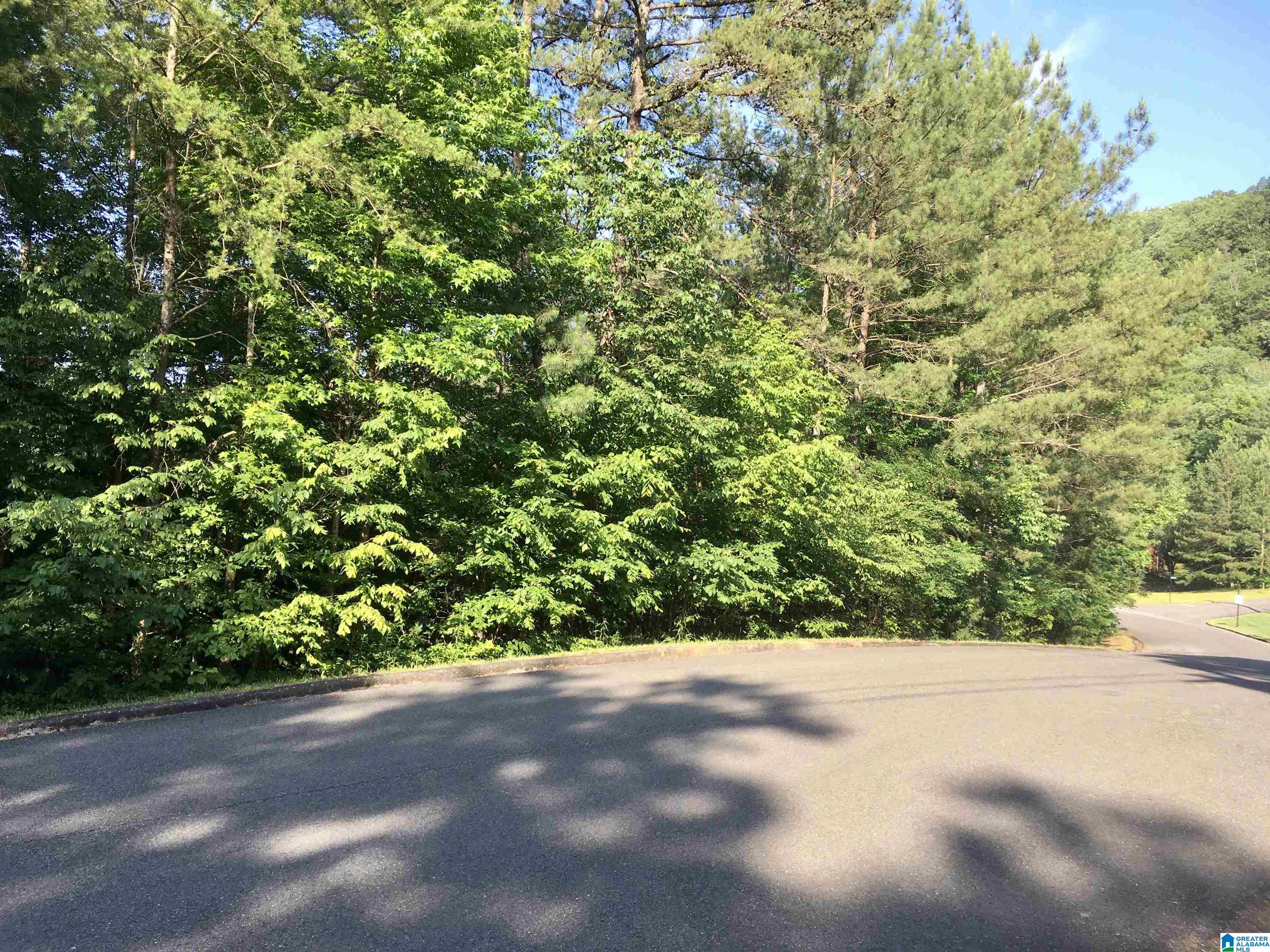 0 Quail Ridge Road, Unit 1 Oneonta, AL 35121 - Photo 10 of 29