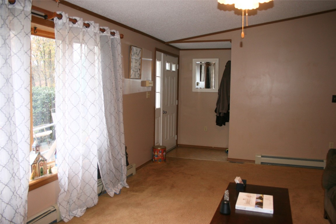 559 Shaffer Road Newfield, NY 14867 - Photo 5 of 49