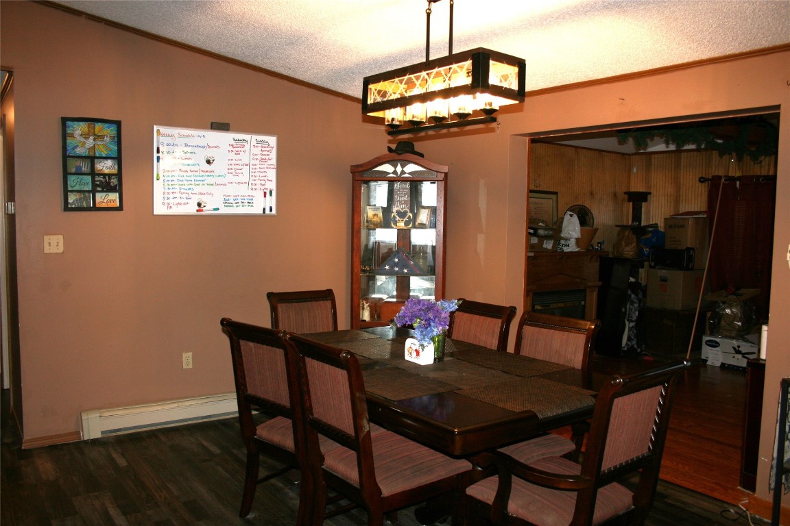 559 Shaffer Road Newfield, NY 14867 - Photo 7 of 49