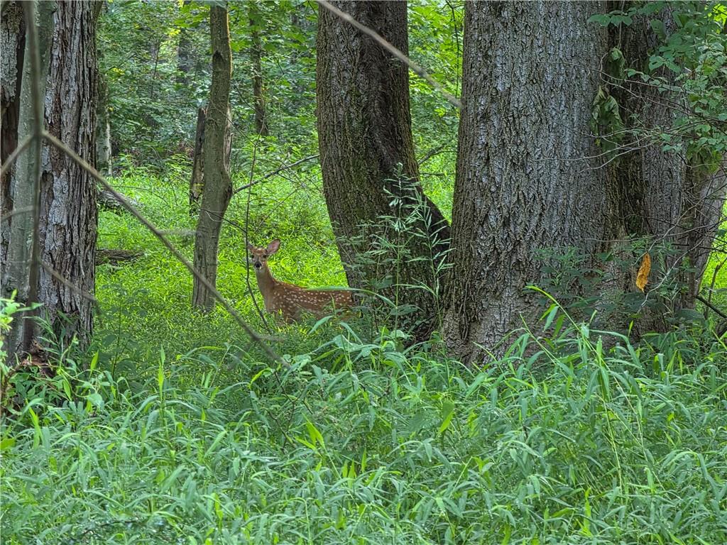 0 Darr Road Belle Vernon, PA 15012 - Photo 3 of 15 Gallery Image 3