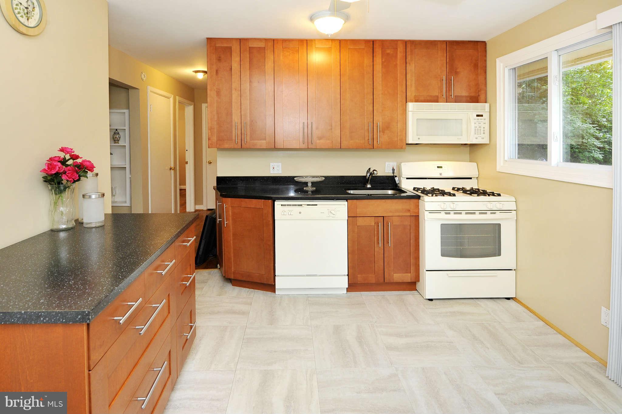 1010 Laredo Road Silver Spring, MD 20901 - Photo 6 of 30 Kitchen