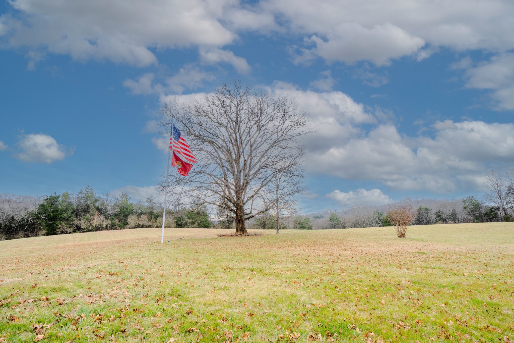 35 Cheatham Road Ardmore, TN 38449 - Photo 37 of 63