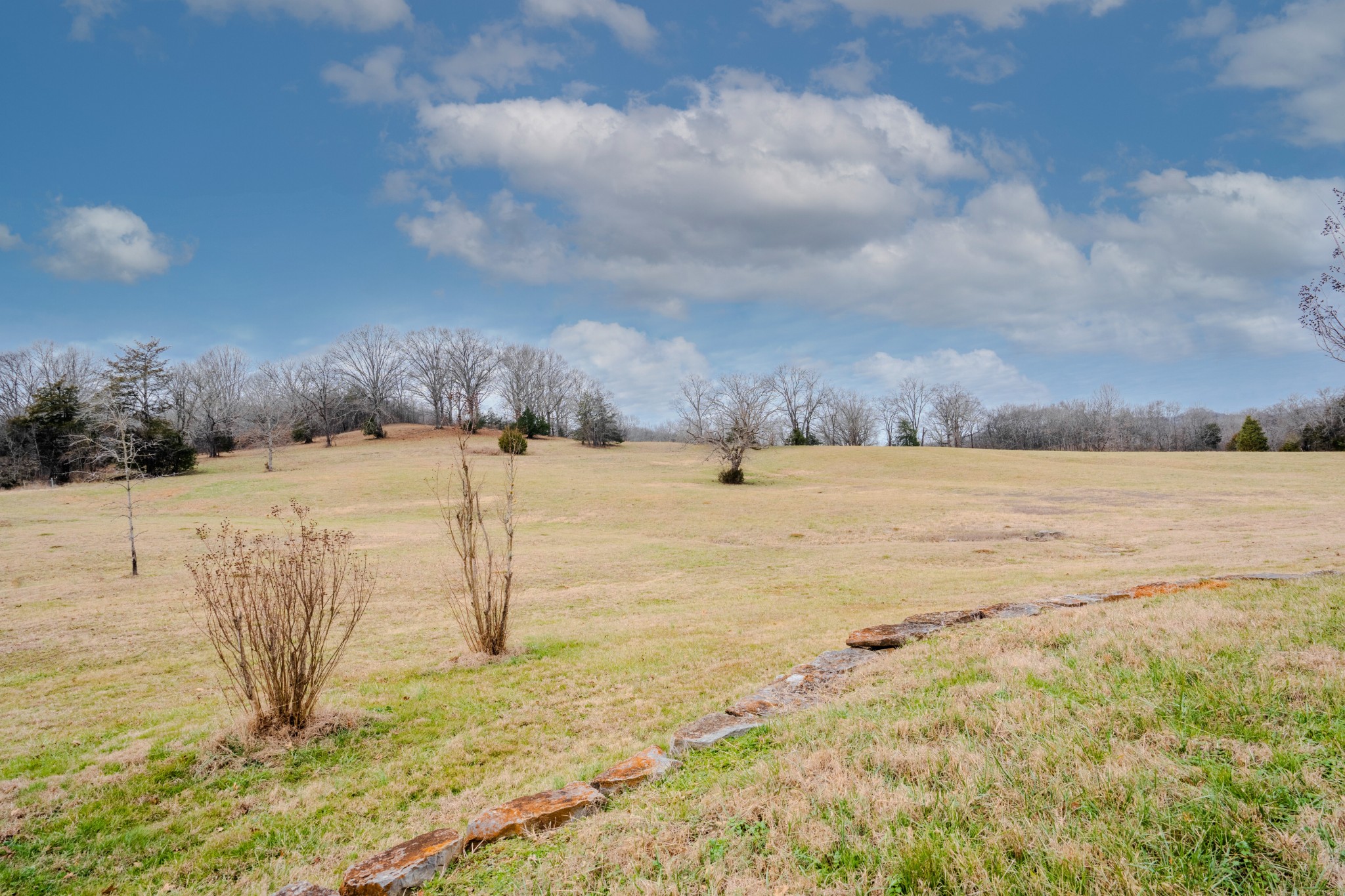 35 Cheatham Road Ardmore, TN 38449 - Photo 49 of 59