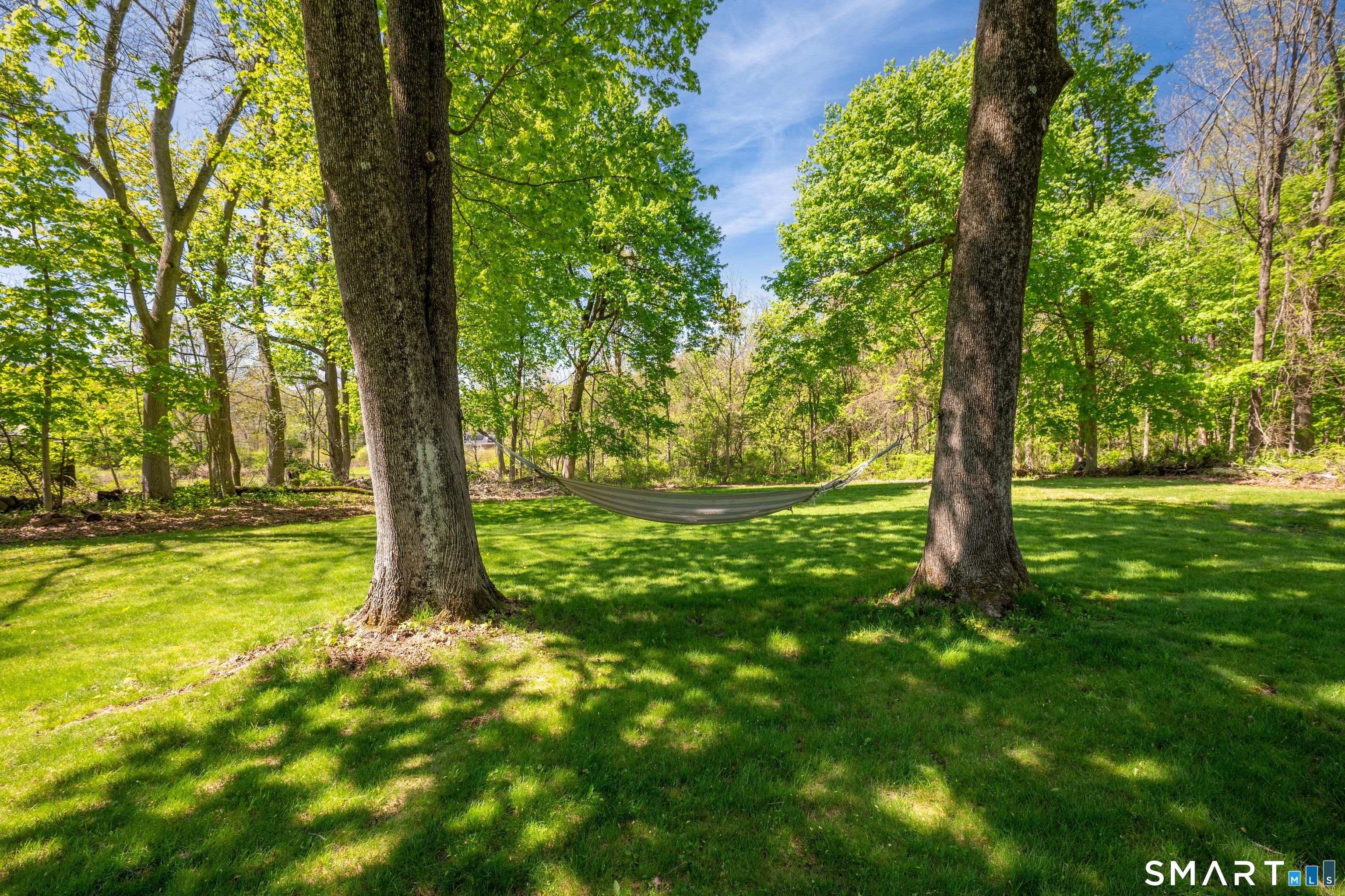 30 Whisconier Road Brookfield, CT 06804 - Photo 35 of 39 a view of a yard with large trees