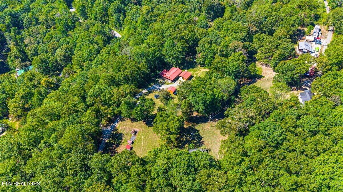 101 Mountain View Road Robbins, TN 37852 - Photo 8 of 49 08-101 Mountain View Rd