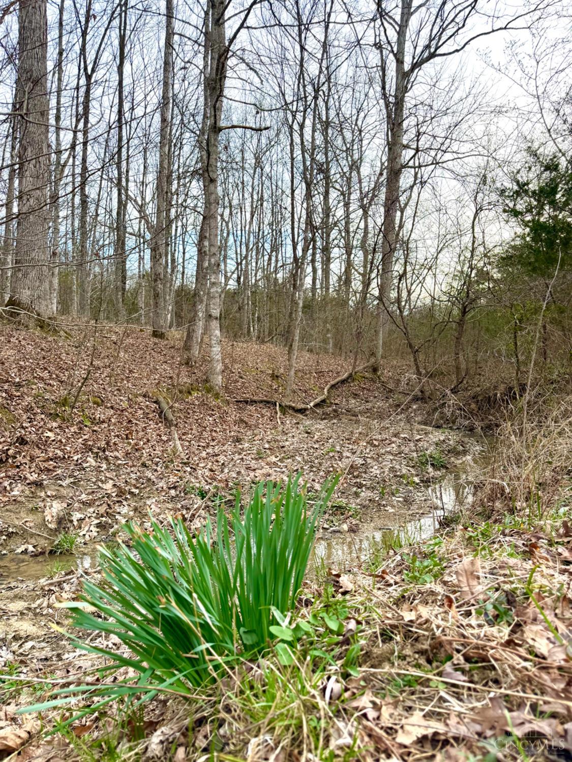 1600 Magee Jones Road Peebles, OH 45660 - Photo 73 of 91