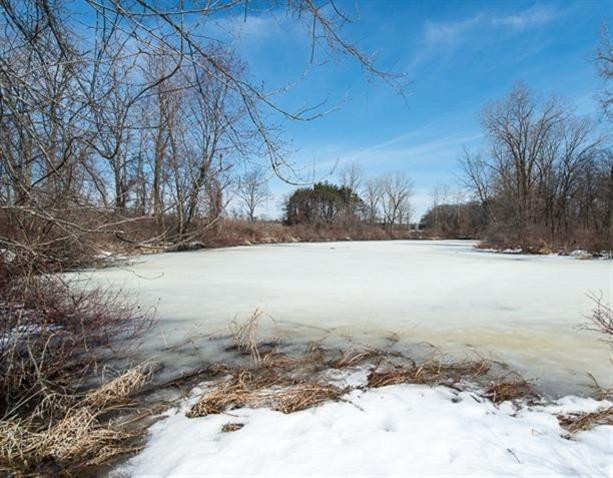 Undisclosed Address Howell, MI 48843 - Photo 14 of 17 Photo 14