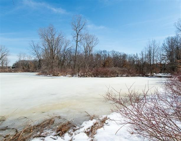Undisclosed Address Howell, MI 48843 - Photo 15 of 17 Photo 15