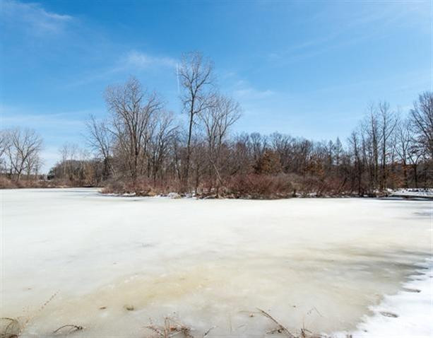 Undisclosed Address Howell, MI 48843 - Photo 16 of 17 Photo 16