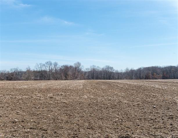 Undisclosed Address Howell, MI 48843 - Photo 4 of 17 Photo 4