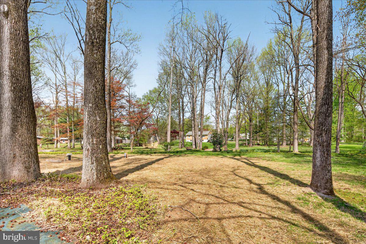 159 Bull Run Road Pennington, NJ 08534 - Photo 53 of 54 Gallery Image 53