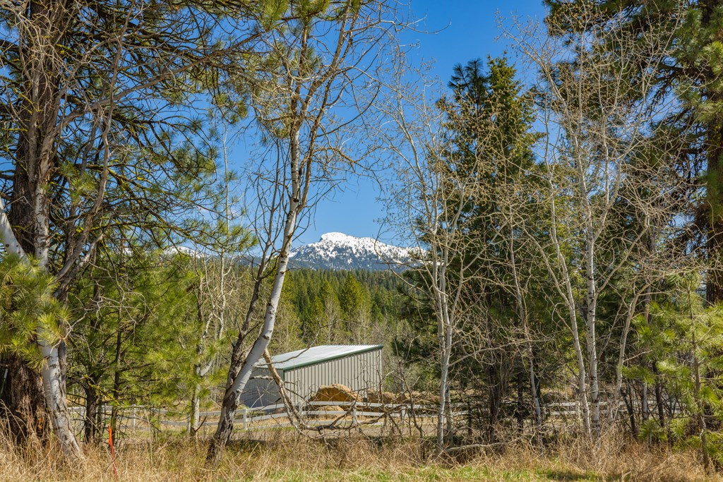 Tbd Morell Road McCall, ID 83638 - Photo 9 of 22