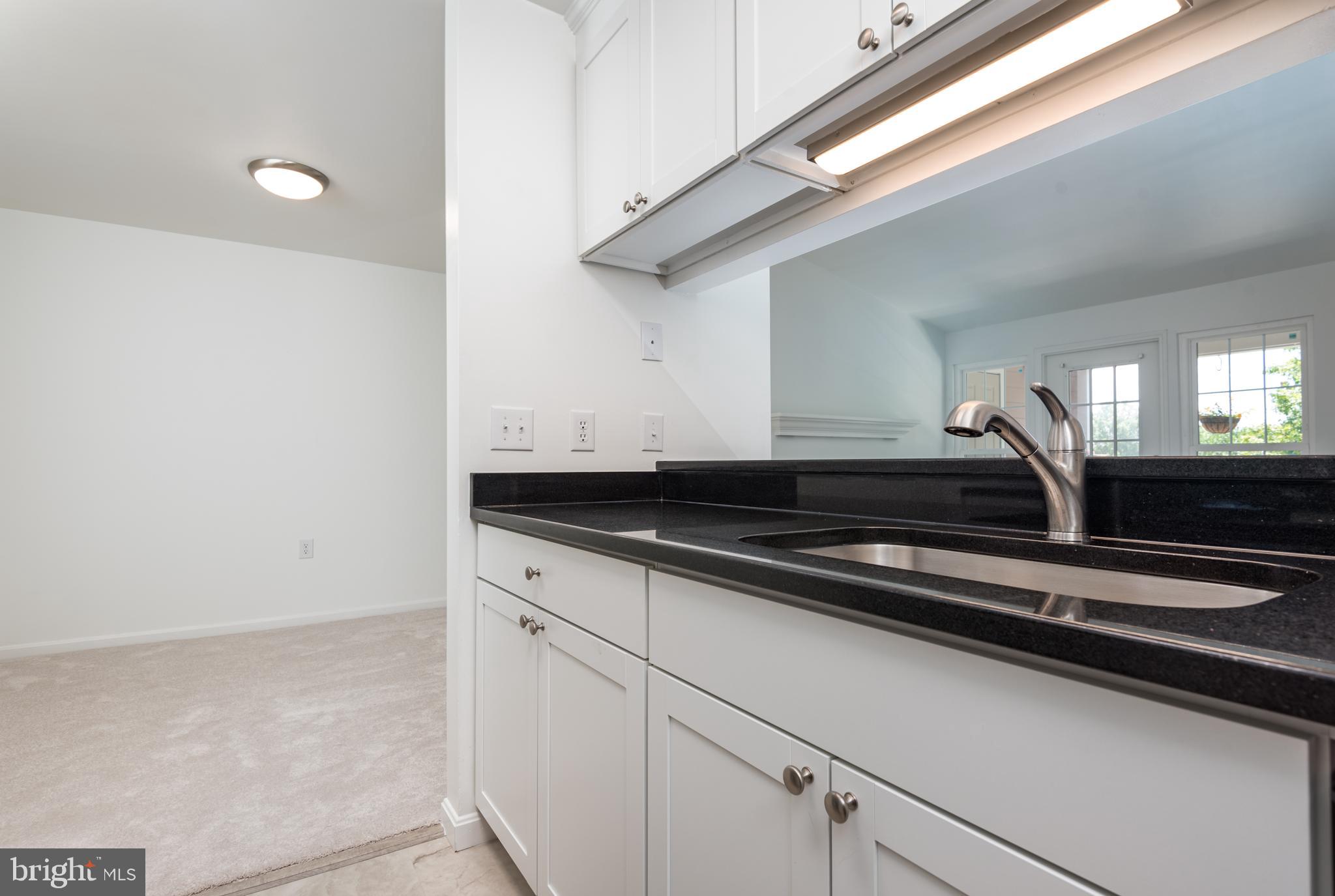 21007 Timber Ridge Terrace, Unit 301 Ashburn, VA 20147 - Photo 15 of 30 Granite countertops with large undermount sink