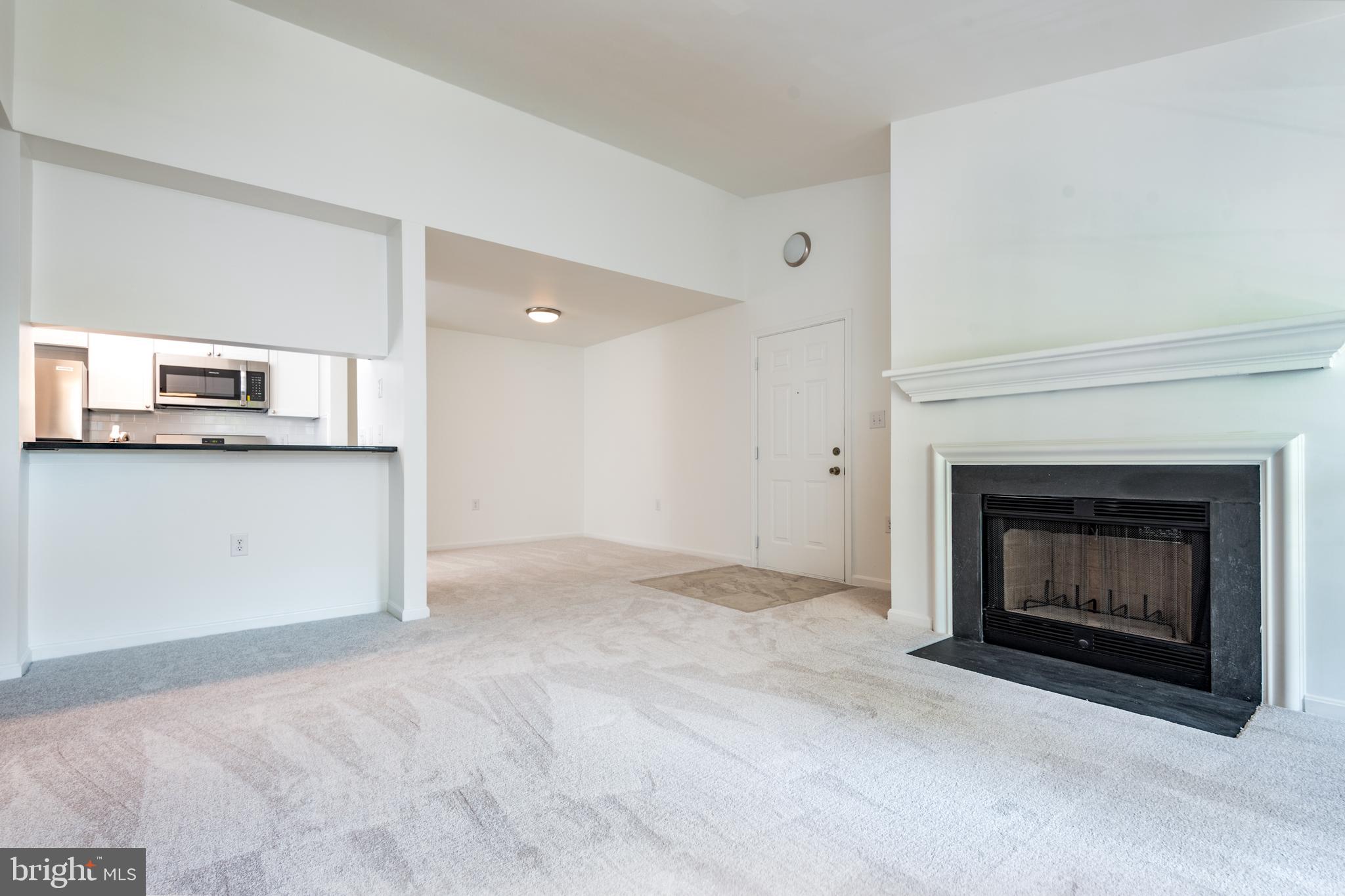 21007 Timber Ridge Terrace, Unit 301 Ashburn, VA 20147 - Photo 8 of 30 Woodburning fireplace has never been used