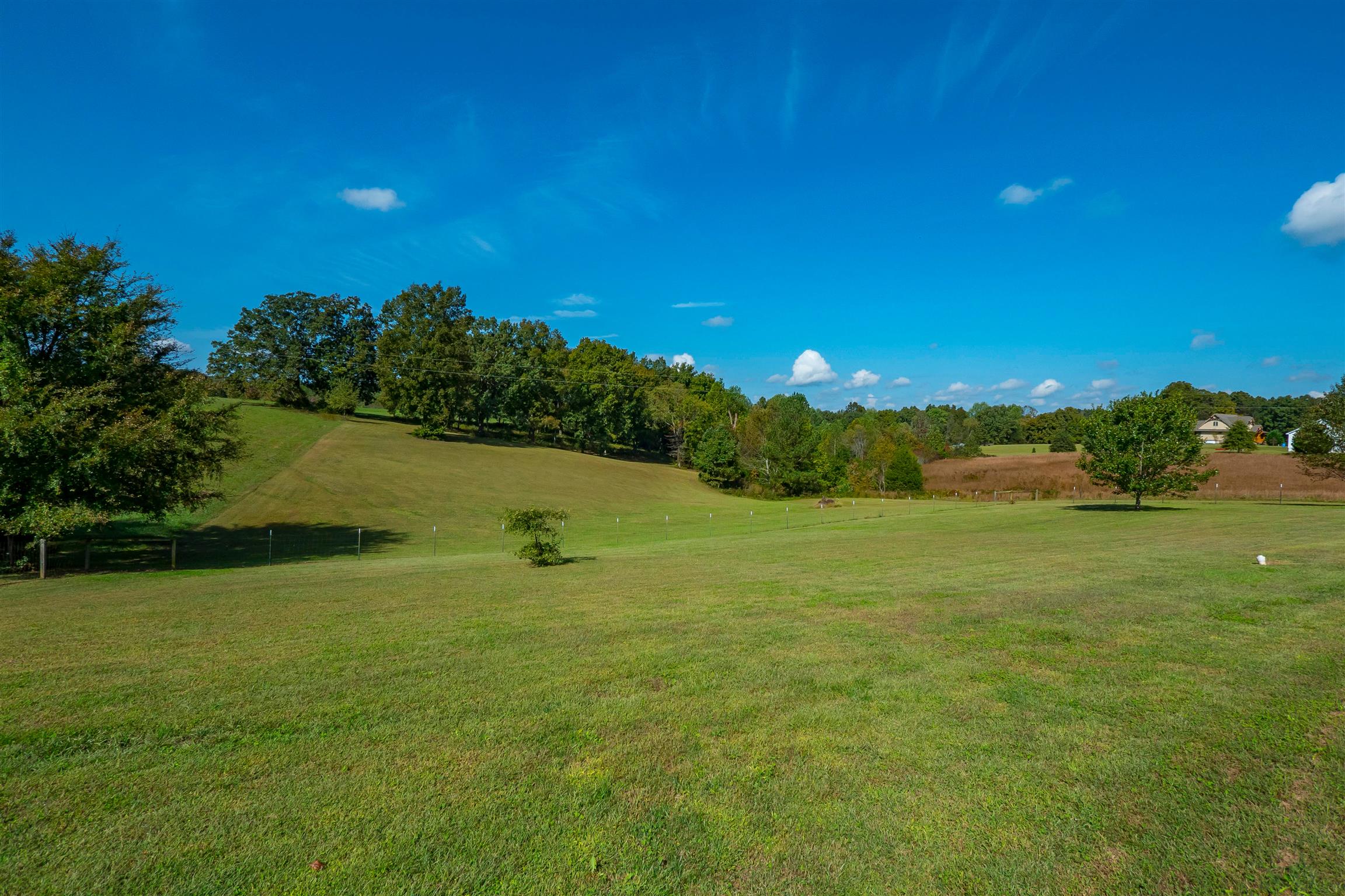 7722 Barnhill Road Primm Springs, TN 38476 - Photo 4 of 30 a view of a lake with a big yard