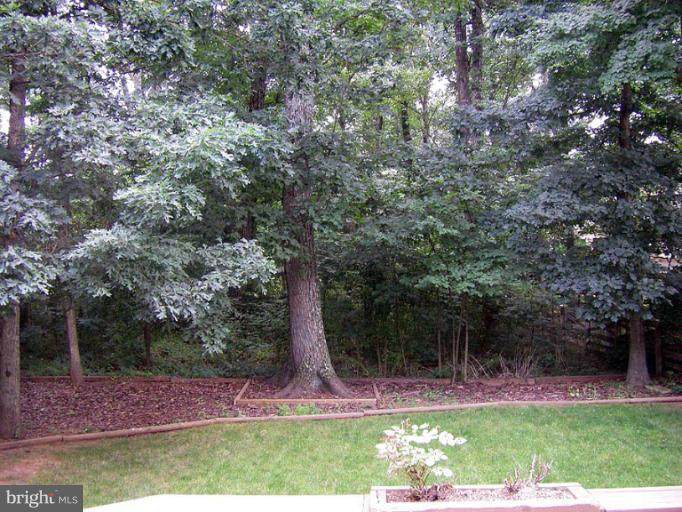 68 Rutherford Circle Sterling, VA 20165 - Photo 8 of 27 Exterior (Rear)