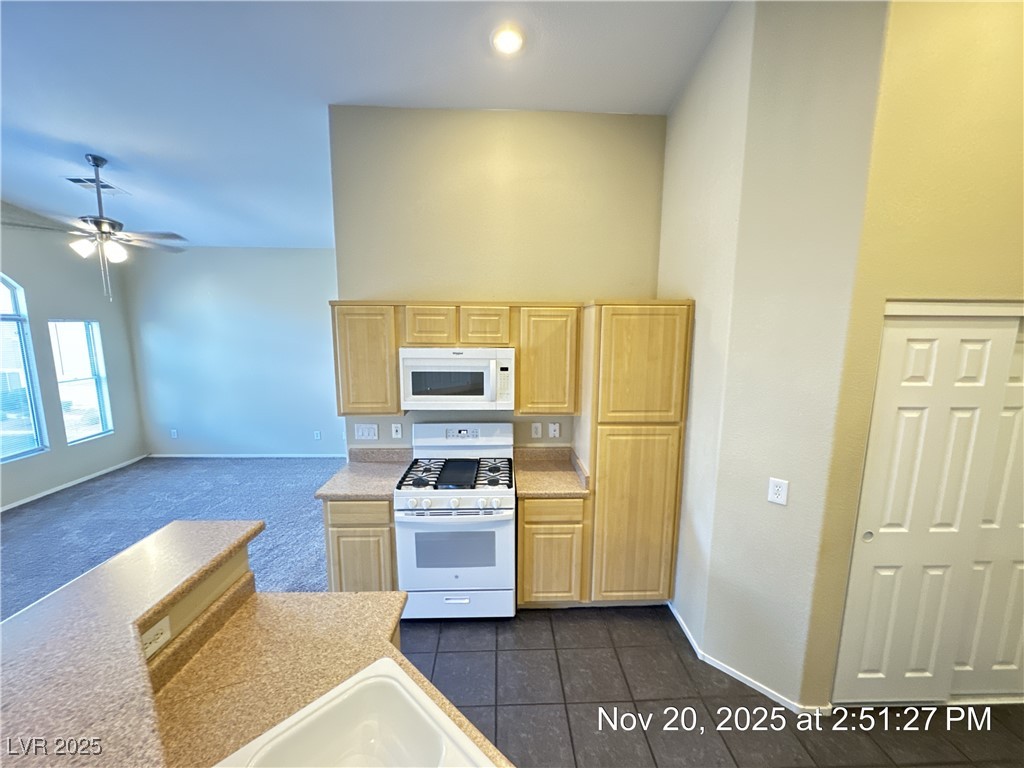 6570 Bucking Horse Lane, Unit 101 Henderson, NV 89011 - Photo 11 of 26