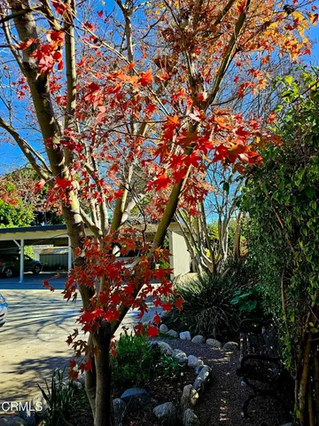 $3,900 | 456 South El Molino Avenue, Pasadena, CA 91101