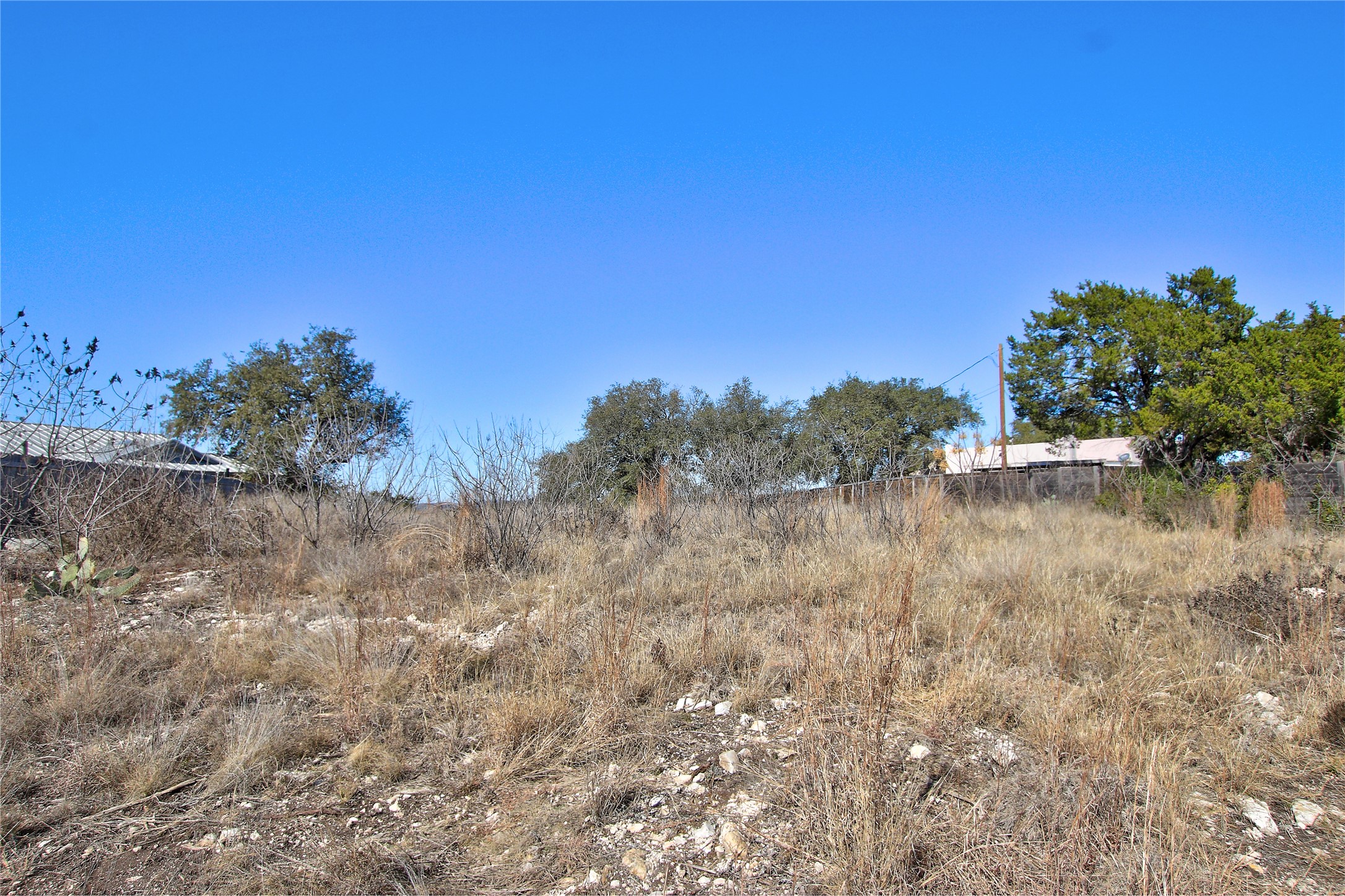8406 Bar K Ranch Road Leander, TX 78645 - Photo 4 of 4 a view of a dry yard with trees