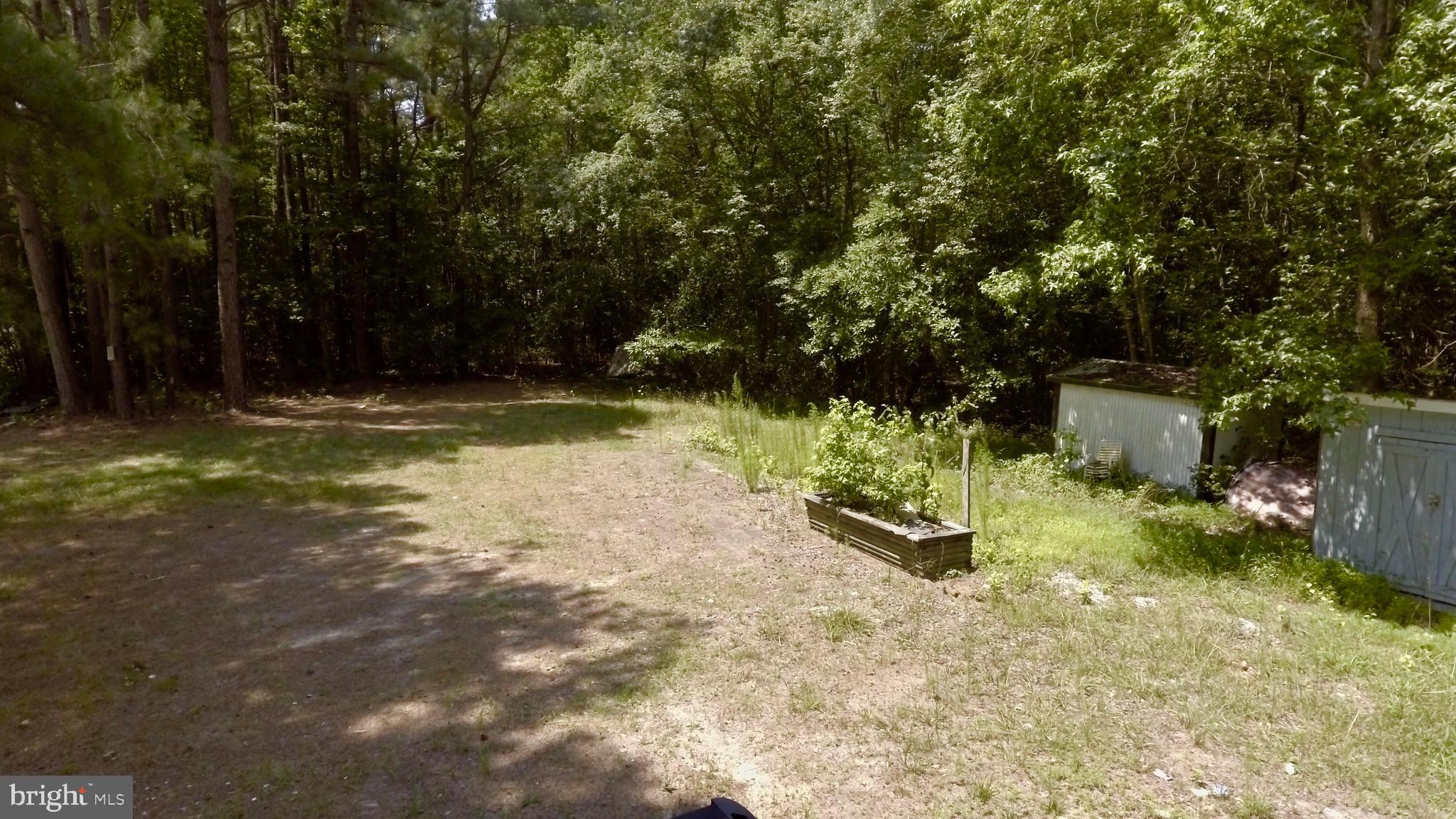 0 Morris Road Parsonsburg, MD 21849 - Photo 4 of 5 Clearing near road