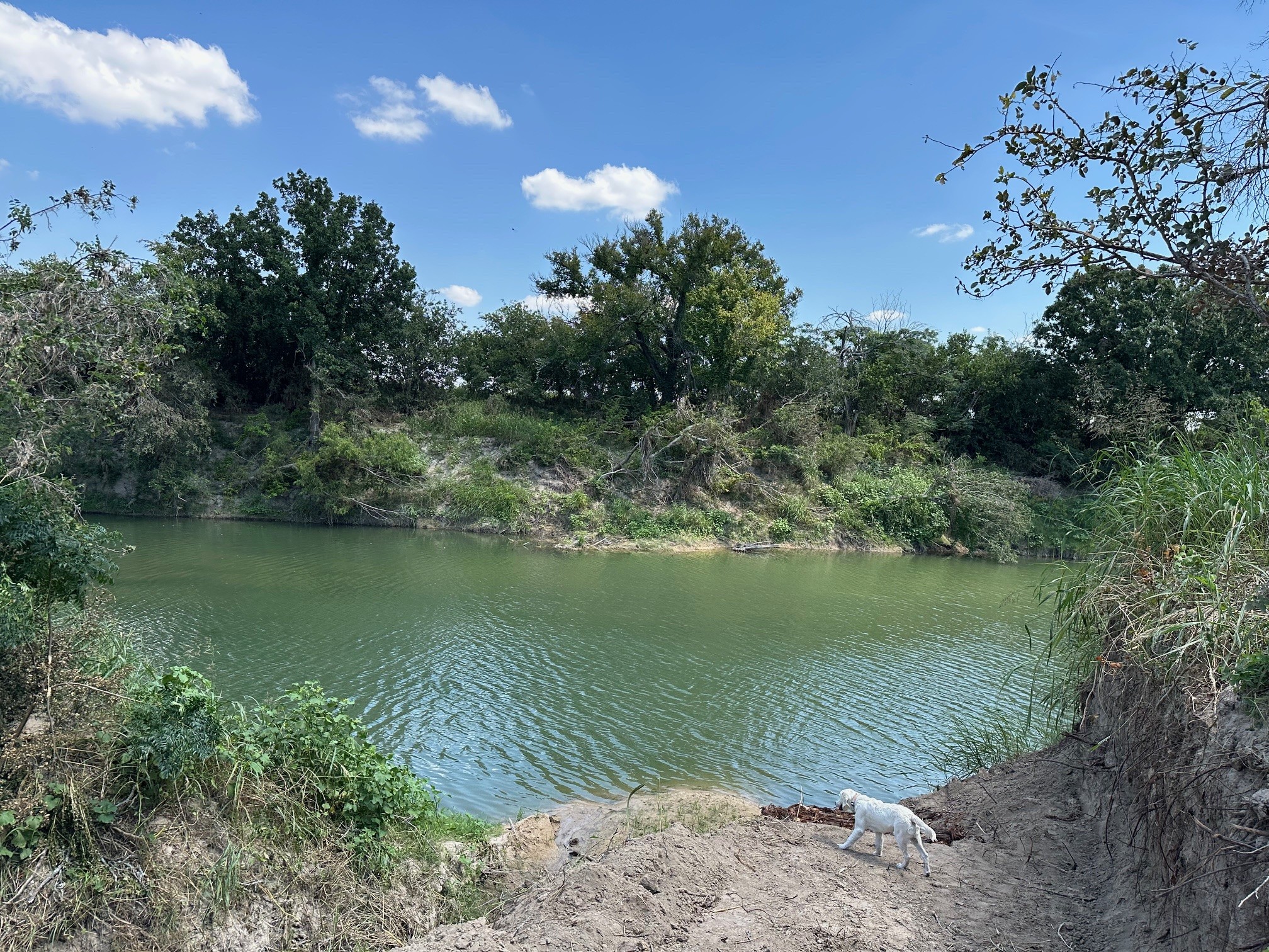 105 Winding River Road Briggs, TX 78608 - Photo 10 of 11 Water view